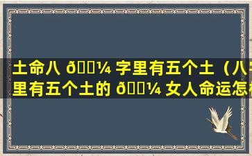 土命八 🌼 字里有五个土（八字里有五个土的 🌼 女人命运怎样）